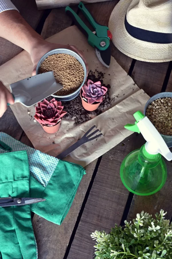 Dụng cụ làm vườn, Tưới cây