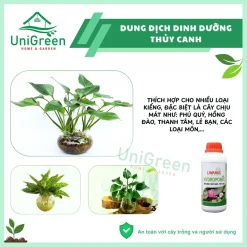 Dung Dịch Dinh Dưỡng Thủy Canh Lavamix Chai 100ml