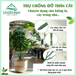 Trụ Nhựa Chống Đỡ Thân Cây, Các Loại Kiểng Lá Size To, Giữ Cho Lá Không Gãy Cụp Trụ Nhựa Chống Đỡ Thân Cây, Các Loại Kiểng Lá Size To, Giữ Cho Lá Không Gãy Cụp
