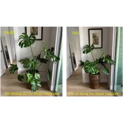 Trụ Nhựa Chống Đỡ Thân Cây, Các Loại Kiểng Lá Size To, Giữ Cho Lá Không Gãy Cụp Trụ Nhựa Chống Đỡ Thân Cây, Các Loại Kiểng Lá Size To, Giữ Cho Lá Không Gãy Cụp