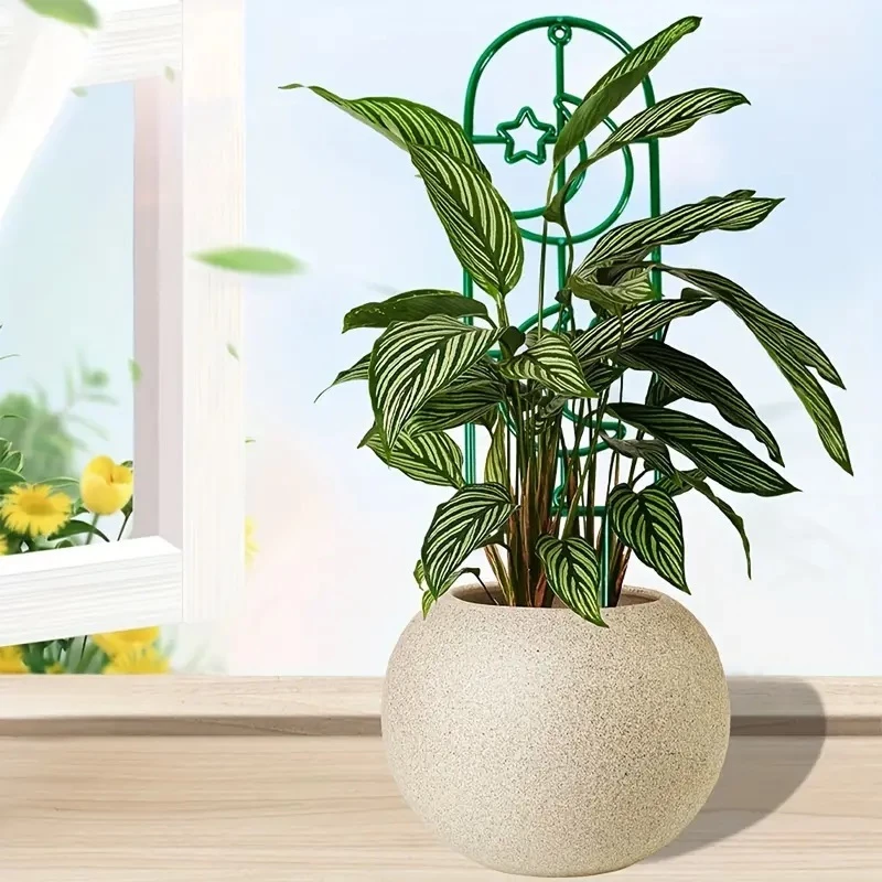 Khung nhựa đứng cho cây leo 35x10cm Khung nhựa đứng cho cây leo 35x10cm - Ảnh 2