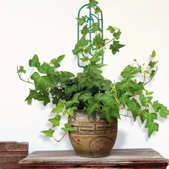 Khung nhựa đứng cho cây leo 35x10cm Khung nhựa đứng cho cây leo 35x10cm