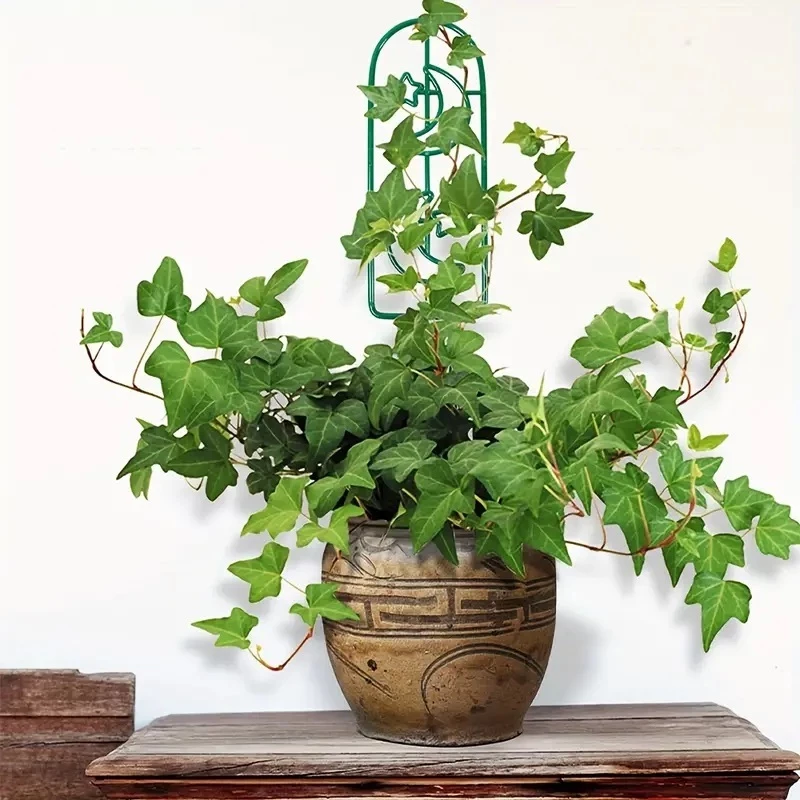 Khung nhựa đứng cho cây leo 35x10cm Khung nhựa đứng cho cây leo 35x10cm - Ảnh 3