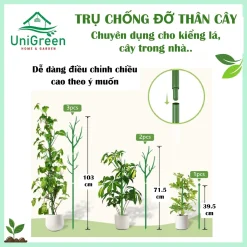 Trụ Nhựa Chống Đỡ Thân Cây, Các Loại Kiểng Lá Size To, Giữ Cho Lá Không Gãy Cụp Trụ Nhựa Chống Đỡ Thân Cây, Các Loại Kiểng Lá Size To, Giữ Cho Lá Không Gãy Cụp