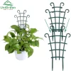 Khung Nhựa Cứng Hỗ Trợ Cây Leo Khung Nhựa Cứng Hỗ Trợ Cây Leo