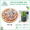 Viên Sứ Bi Ceramic Đa Sắc, Trang Trí Chậu Cây, Thủy Sinh Viên Sứ Bi Ceramic Đa Sắc, Trang Trí Chậu Cây, Thủy Sinh