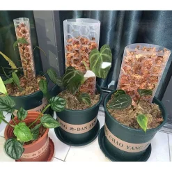 TRỤ NHỰA TRỒNG CÂY, CHO CÂY LEO - CÓ KHỚP NỐI LÊN CAO TRỤ NHỰA TRỒNG CÂY, CHO CÂY LEO - CÓ KHỚP NỐI LÊN CAO