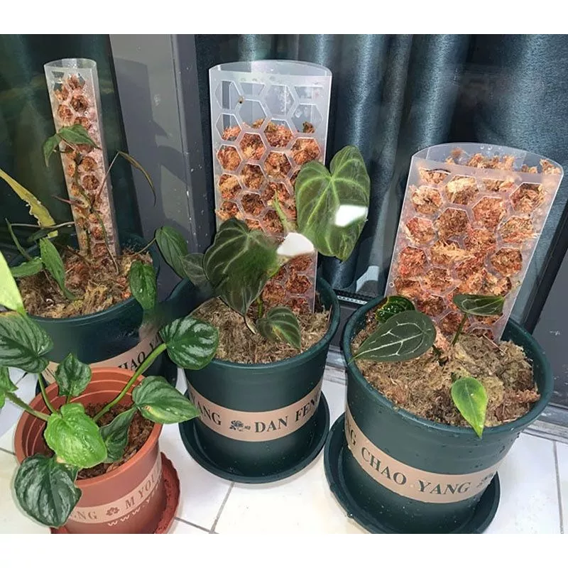 TRỤ NHỰA TRỒNG CÂY, CHO CÂY LEO - CÓ KHỚP NỐI LÊN CAO TRỤ NHỰA TRỒNG CÂY, CHO CÂY LEO - CÓ KHỚP NỐI LÊN CAO - Ảnh 3