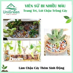 Viên Sứ Bi Ceramic Đa Sắc, Trang Trí Chậu Cây, Thủy Sinh