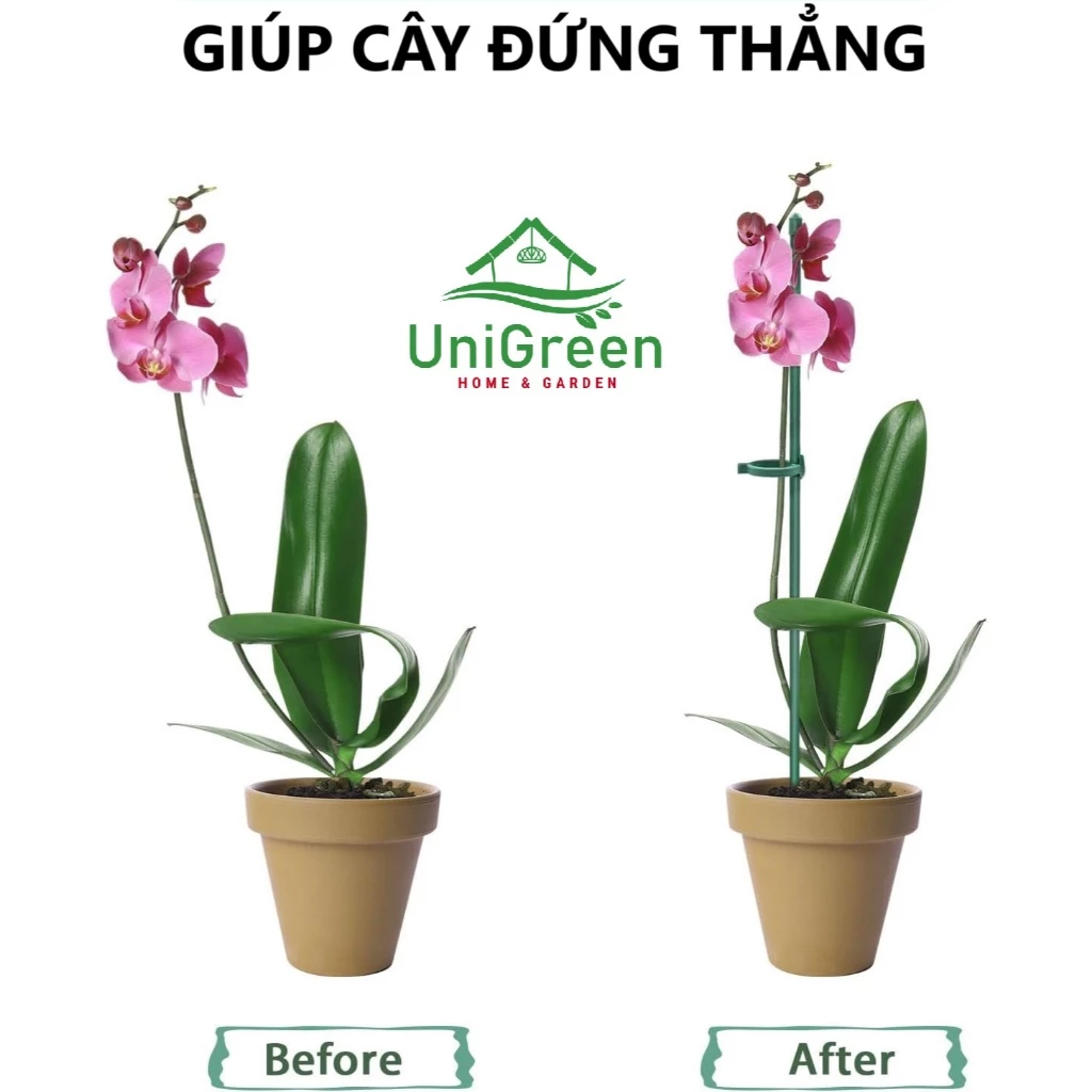 Set 10 trụ cắm chống ngả nghiêng cho cây trồng, chất liệu sợi thủy tinh cứng cáp 45/60/75CM - UNIGREEN HOME & GARDEN Set 10 trụ cắm chống ngả nghiêng cho cây trồng, chất liệu sợi thủy tinh cứng cáp 45/60/75CM - UNIGREEN HOME & GARDEN - Ảnh 4