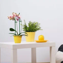 Set 10 trụ cắm chống ngả nghiêng cho cây trồng, chất liệu sợi thủy tinh cứng cáp 45/60/75CM - UNIGREEN HOME & GARDEN Set 10 trụ cắm chống ngả nghiêng cho cây trồng, chất liệu sợi thủy tinh cứng cáp 45/60/75CM - UNIGREEN HOME & GARDEN