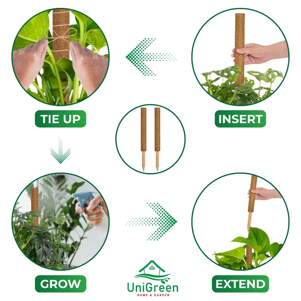 TRỤ XƠ DỪA 45CM (CHỈ BÁN SET 10) - UNIGREEN HOME & GARDEN TRỤ XƠ DỪA 45CM (CHỈ BÁN SET 10) - UNIGREEN HOME & GARDEN - Ảnh 6