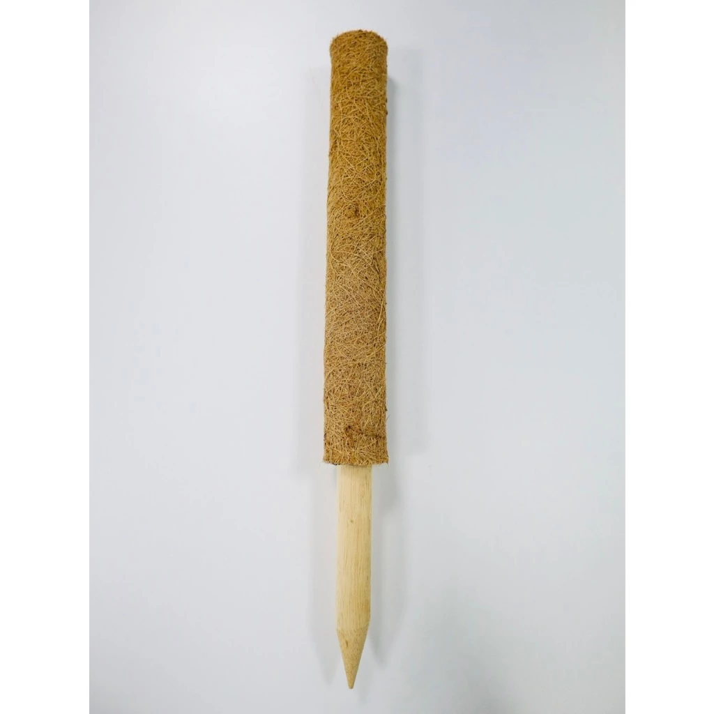 TRỤ XƠ DỪA 45CM (CHỈ BÁN SET 10) - UNIGREEN HOME & GARDEN TRỤ XƠ DỪA 45CM (CHỈ BÁN SET 10) - UNIGREEN HOME & GARDEN - Ảnh 2