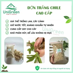 Dớn Chile trắng - Rêu rừng khô đã xử lý - Chất lượng loại 1 Dớn Chile trắng - Rêu rừng khô đã xử lý - Chất lượng loại 1