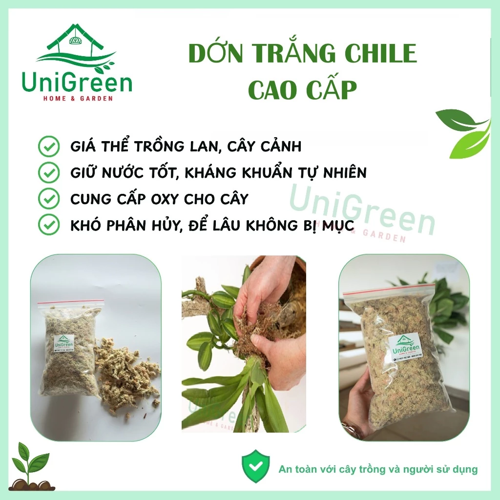 Dớn Chile trắng - Rêu rừng khô đã xử lý - Chất lượng loại 1 Dớn Chile trắng - Rêu rừng khô đã xử lý - Chất lượng loại 1 - Ảnh 3