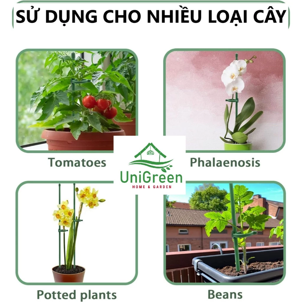 Set 10 trụ cắm chống ngả nghiêng cho cây trồng, chất liệu sợi thủy tinh cứng cáp 45/60/75CM - UNIGREEN HOME & GARDEN Set 10 trụ cắm chống ngả nghiêng cho cây trồng, chất liệu sợi thủy tinh cứng cáp 45/60/75CM - UNIGREEN HOME & GARDEN - Ảnh 4