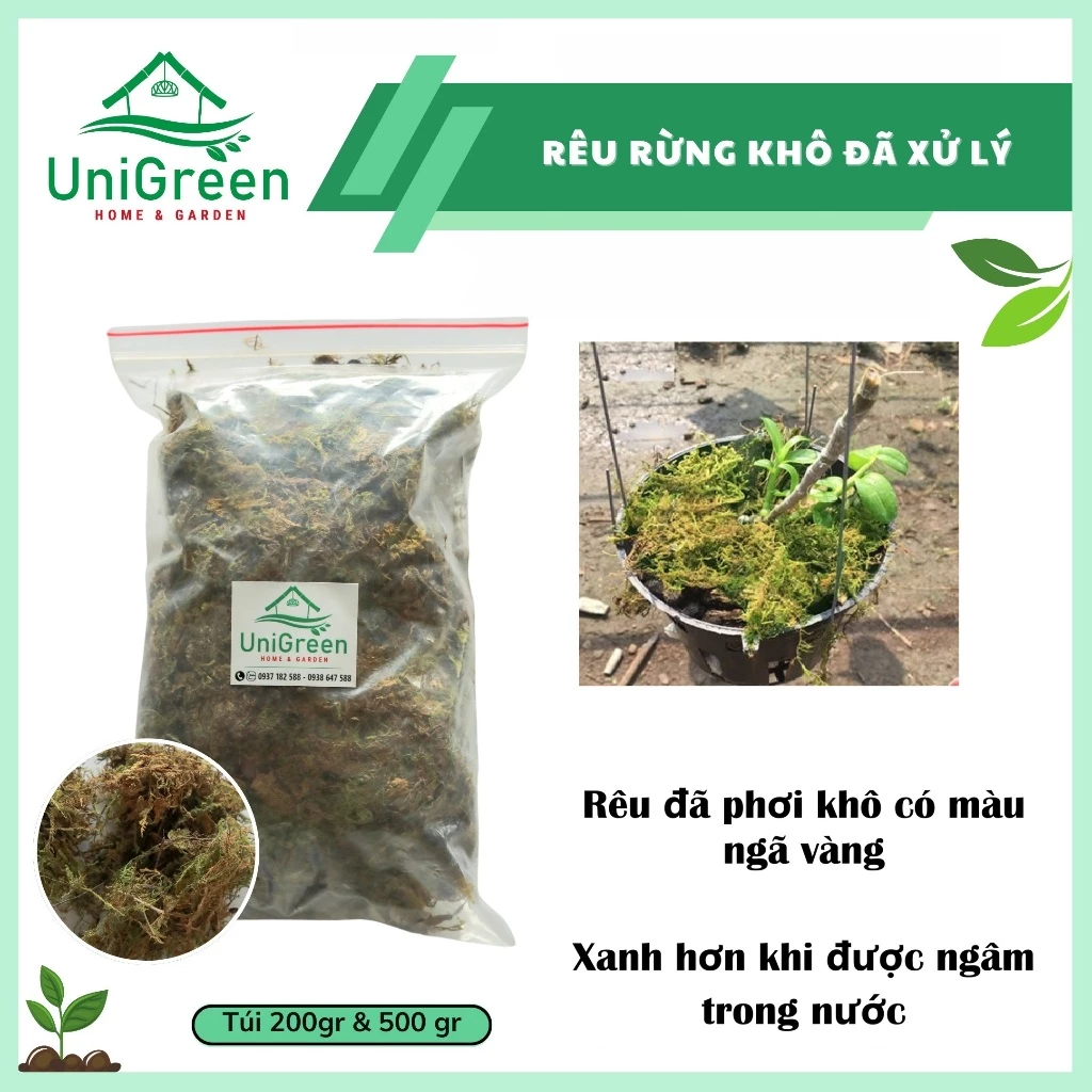 Dớn Chile trắng - Rêu rừng khô đã xử lý - Chất lượng loại 1 Dớn Chile trắng - Rêu rừng khô đã xử lý - Chất lượng loại 1 - Ảnh 4