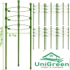 Bộ giá đỡ hoa hồng, cà chua, cây cảnh, hỗ trợ dây leo, size cao 45/60/75/90/120cm