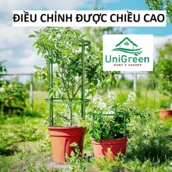 Trụ chữ T cố định các cành cây, chống cây bị ngả nghiêng