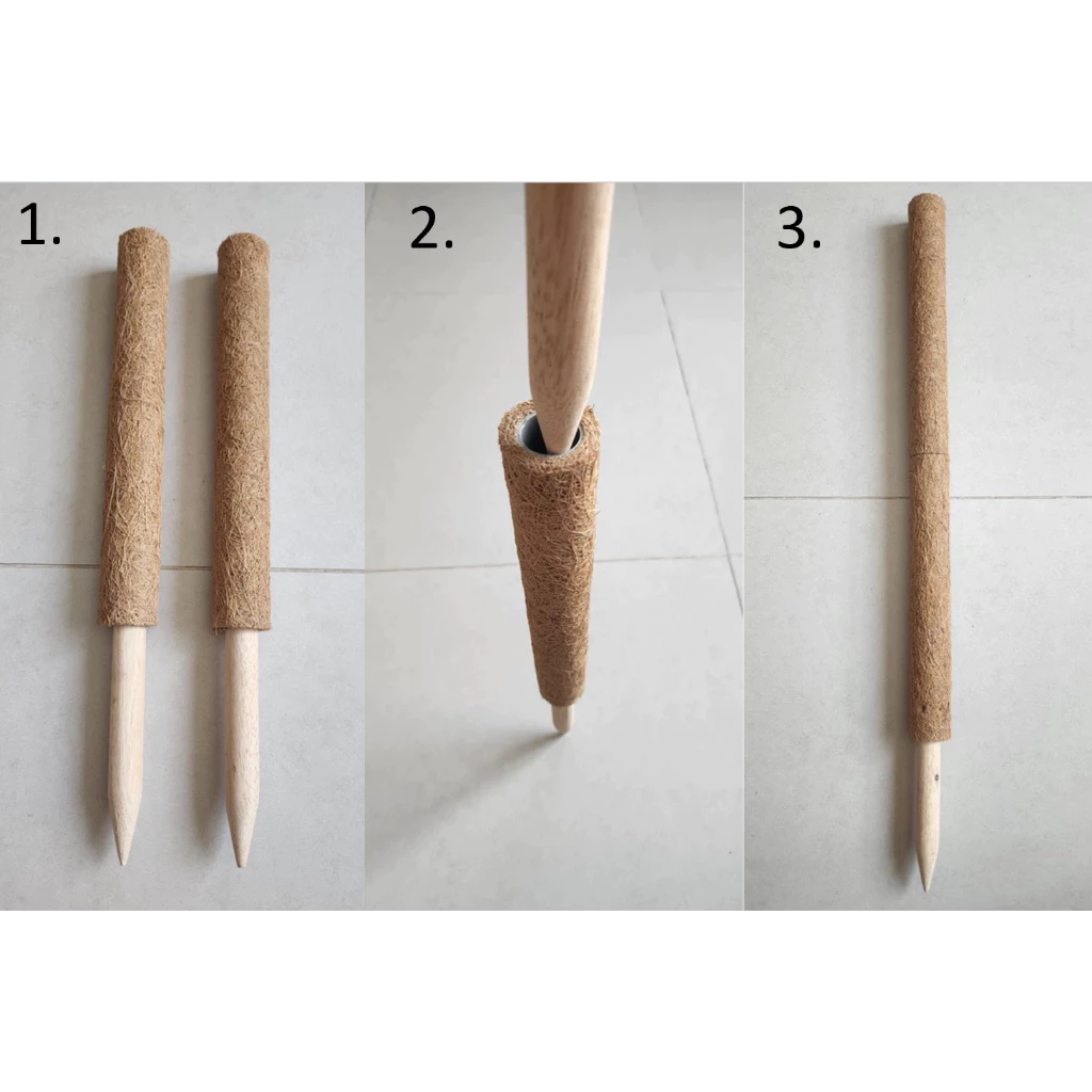 TRỤ CỘT XƠ DỪA TRỒNG CÂY 45CM - 1M5, CHO CÂY LEO BÁM UNIGREEN HOME&GARDEN CÓ KHỚP NỐI TRỤ CỘT XƠ DỪA TRỒNG CÂY 45CM - 1M5, CHO CÂY LEO BÁM UNIGREEN HOME&GARDEN CÓ KHỚP NỐI - Ảnh 3