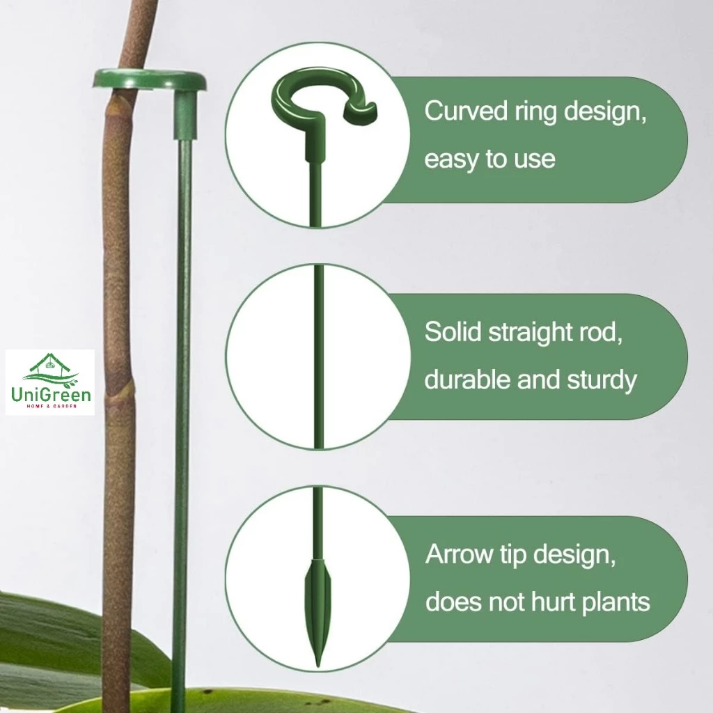 Set 10 cọc giá đỡ cố định lan, các loại cây trồng không bị ngã, Size 27cm, 37cm,48cm,58cm Set 10 cọc giá đỡ cố định lan, các loại cây trồng không bị ngã, Size 27cm, 37cm,48cm,58cm - Ảnh 2