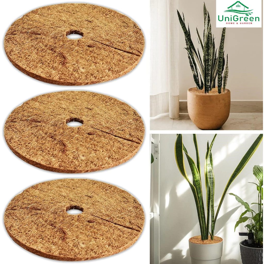 THẢM XƠ DỪA CHỐNG CỎ - LÓT CHẬU - GIỮ ẨM ĐẤT - NGĂN ĐỘNG VẬT ĐÀO BỚI ĐẤT 25/37/45/60 CM THẢM XƠ DỪA CHỐNG CỎ - LÓT CHẬU - GIỮ ẨM ĐẤT - NGĂN ĐỘNG VẬT ĐÀO BỚI ĐẤT 25/37/45/60 CM