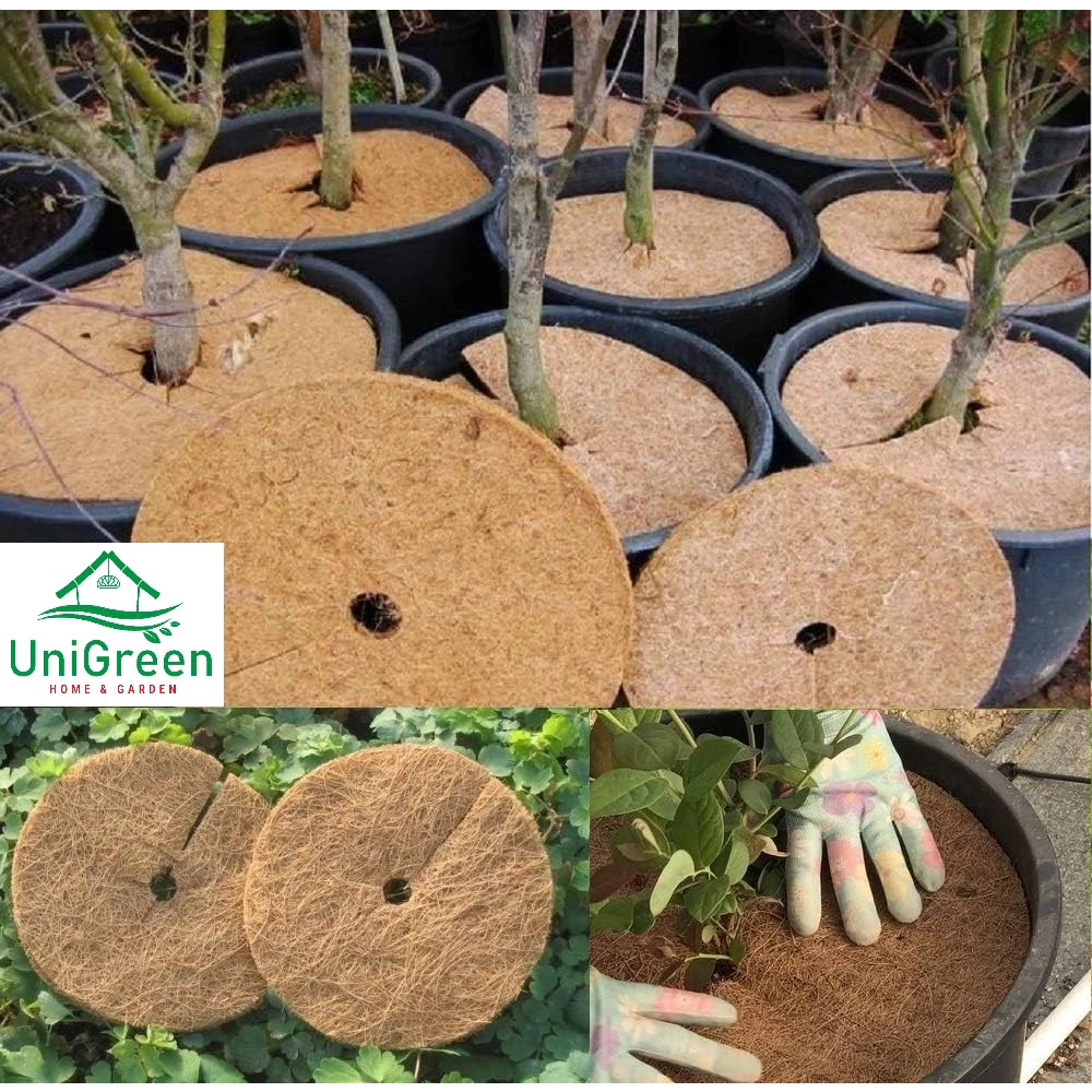 THẢM XƠ DỪA CHỐNG CỎ - LÓT CHẬU - GIỮ ẨM ĐẤT - NGĂN ĐỘNG VẬT ĐÀO BỚI ĐẤT 25/37/45/60 CM THẢM XƠ DỪA CHỐNG CỎ - LÓT CHẬU - GIỮ ẨM ĐẤT - NGĂN ĐỘNG VẬT ĐÀO BỚI ĐẤT 25/37/45/60 CM - Ảnh 3