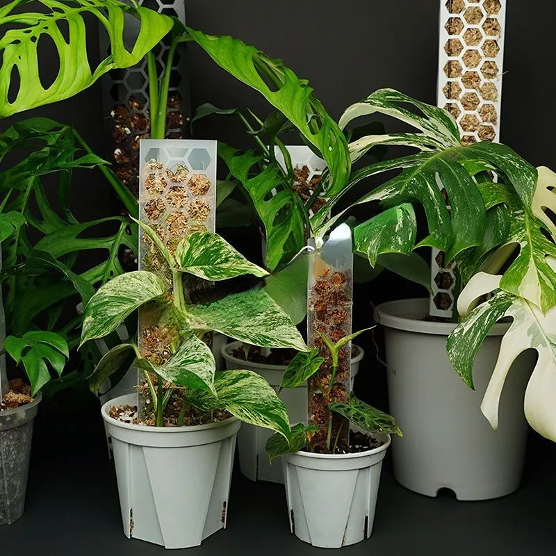 TRỤ NHỰA TRỒNG CÂY, CHO CÂY LEO - CÓ KHỚP NỐI LÊN CAO TRỤ NHỰA TRỒNG CÂY, CHO CÂY LEO - CÓ KHỚP NỐI LÊN CAO