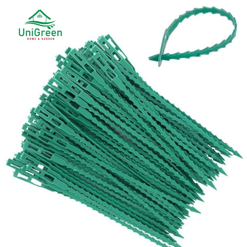 Dây rút nhựa hỗ trợ cây leo 13cm, 17cm, tái sử dụng nhiều lần Dây rút nhựa hỗ trợ cây leo 13cm, 17cm, tái sử dụng nhiều lần