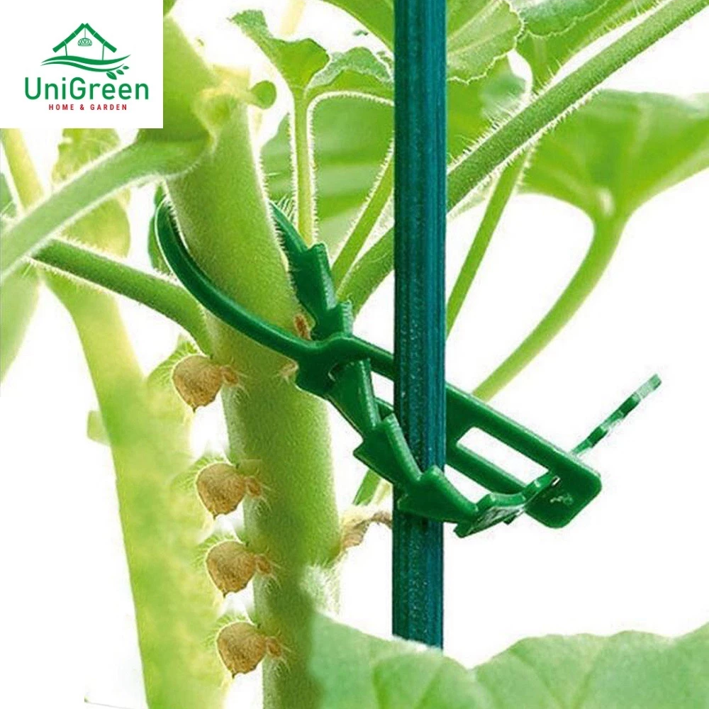 Dây rút nhựa hỗ trợ cây leo 13cm, 17cm, tái sử dụng nhiều lần Dây rút nhựa hỗ trợ cây leo 13cm, 17cm, tái sử dụng nhiều lần - Ảnh 4