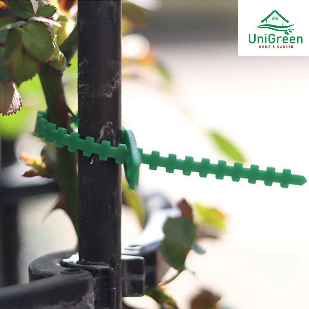 Dây rút nhựa hỗ trợ cây leo 13cm, 17cm, tái sử dụng nhiều lần Dây rút nhựa hỗ trợ cây leo 13cm, 17cm, tái sử dụng nhiều lần - Ảnh 5