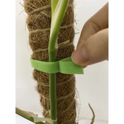 Băng dính gai, băng velcro tape 5M