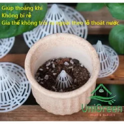 [Set 5] Lưới Nhựa Chắn Đáy Chậu, Giúp Đất Thông Thoáng, Bộ Rễ Khỏe