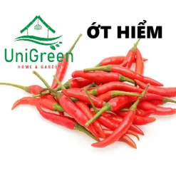 HẠT GIỐNG GIA VỊ - UNIGREEN HOME & GARDEN