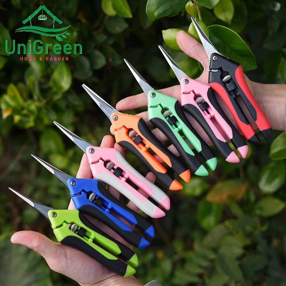 Set 2 Kéo cắt tỉa chuyên nghiệp bằng thép không gỉ, có khóa an toàn Set 2 Kéo cắt tỉa chuyên nghiệp bằng thép không gỉ, có khóa an toàn - Ảnh 3