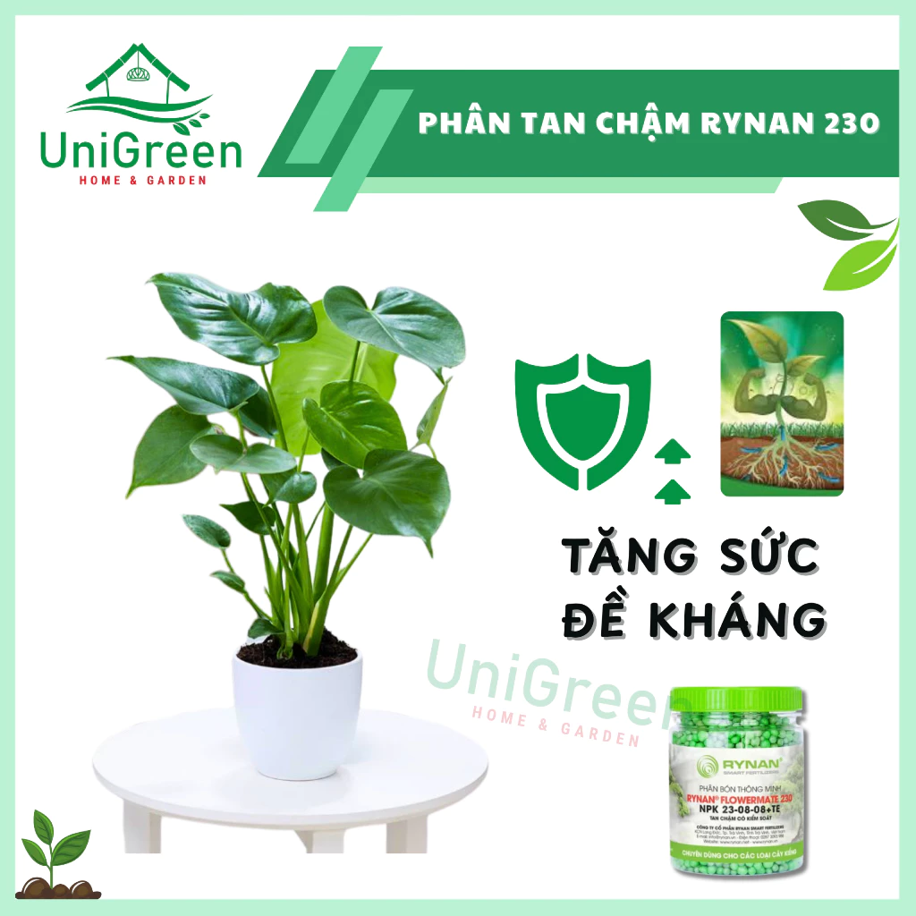 Phân Tan Chậm Rynan 230, Hũ 150gr, Chuyên Kiểng Lá, Dưỡng Lá Xanh, Sinh Trưởng Khoẻ Phân Tan Chậm Rynan 230, Hũ 150gr, Chuyên Kiểng Lá, Dưỡng Lá Xanh, Sinh Trưởng Khoẻ - Ảnh 3