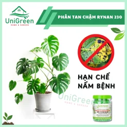 Phân Tan Chậm Rynan 230, Hũ 150gr, Chuyên Kiểng Lá, Dưỡng Lá Xanh, Sinh Trưởng Khoẻ Phân Tan Chậm Rynan 230, Hũ 150gr, Chuyên Kiểng Lá, Dưỡng Lá Xanh, Sinh Trưởng Khoẻ
