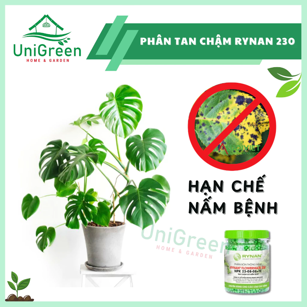 Phân Tan Chậm Rynan 230, Hũ 150gr, Chuyên Kiểng Lá, Dưỡng Lá Xanh, Sinh Trưởng Khoẻ Phân Tan Chậm Rynan 230, Hũ 150gr, Chuyên Kiểng Lá, Dưỡng Lá Xanh, Sinh Trưởng Khoẻ - Ảnh 4