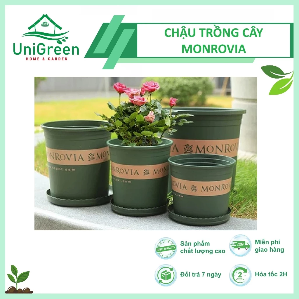 Chậu Nhựa Trồng Cây Monrovia Cao Cấp Chậu Nhựa Trồng Cây Monrovia Cao Cấp - Ảnh 2