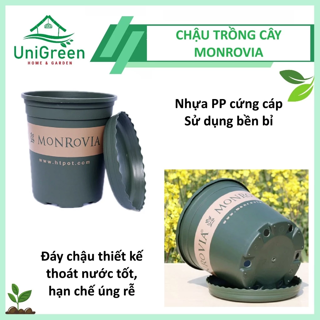 Chậu Nhựa Trồng Cây Monrovia Cao Cấp Chậu Nhựa Trồng Cây Monrovia Cao Cấp - Ảnh 3