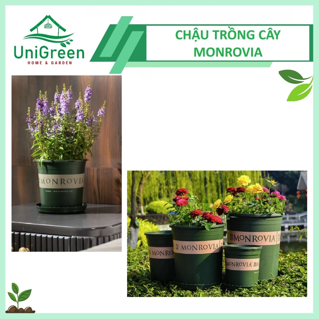 Chậu Nhựa Trồng Cây Monrovia Cao Cấp Chậu Nhựa Trồng Cây Monrovia Cao Cấp - Ảnh 4