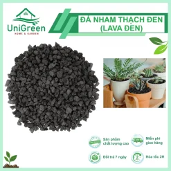 [Túi 1Kg] Đá Nham Thạch Lava Đen Size 3-6m, Dùng Rải Mặt, Làm Giá Thể, Trải Nền Hồ Cá Thủy Sinh
