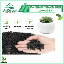 [Túi 1Kg] Đá Nham Thạch Lava Đen Size 3-6m, Dùng Rải Mặt, Làm Giá Thể, Trải Nền Hồ Cá Thủy Sinh