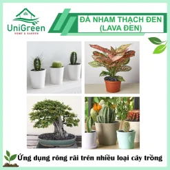 [Túi 1Kg] Đá Nham Thạch Lava Đen Size 3-6m, Dùng Rải Mặt, Làm Giá Thể, Trải Nền Hồ Cá Thủy Sinh