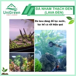 [Túi 1Kg] Đá Nham Thạch Lava Đen Size 3-6m, Dùng Rải Mặt, Làm Giá Thể, Trải Nền Hồ Cá Thủy Sinh