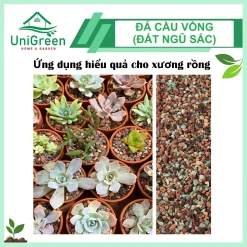 [Túi 1kg] Đá Cầu Vồng, 100% Sạch Bụi, Rải mặt chậu, Kích Rễ Nhanh, Giữ màu sen đá