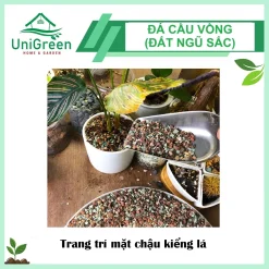 [Túi 1kg] Đá Cầu Vồng, 100% Sạch Bụi, Rải mặt chậu, Kích Rễ Nhanh, Giữ màu sen đá