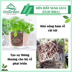 [Túi 6L] Viên Đất Nung Leca Clay Ball Trồng Thủy Canh - Ươm Node - Rải Mặt Chậu