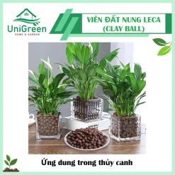 [Túi 6L] Viên Đất Nung Leca Clay Ball Trồng Thủy Canh - Ươm Node - Rải Mặt Chậu