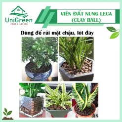 [Túi 6L] Viên Đất Nung Leca Clay Ball Trồng Thủy Canh - Ươm Node - Rải Mặt Chậu